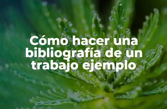 Cómo hacer una bibliografía de un trabajo ejemplo