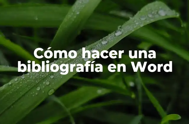 Cómo Hacer una Bibliografía en Word 2 ¿Qué es una bibliografía en Word y para qué sirve?