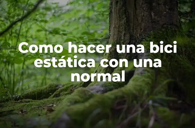 Como Hacer una Bici Estática con una Normal 2 ¿Qué es una bicicleta estática y para qué sirve?