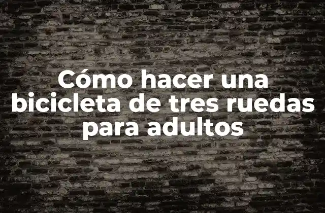 Cómo Hacer una Bicicleta de Tres Ruedas para Adultos