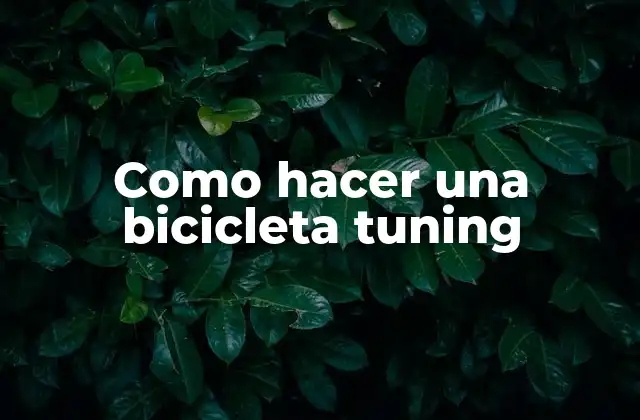 Como Hacer una Bicicleta Tuning