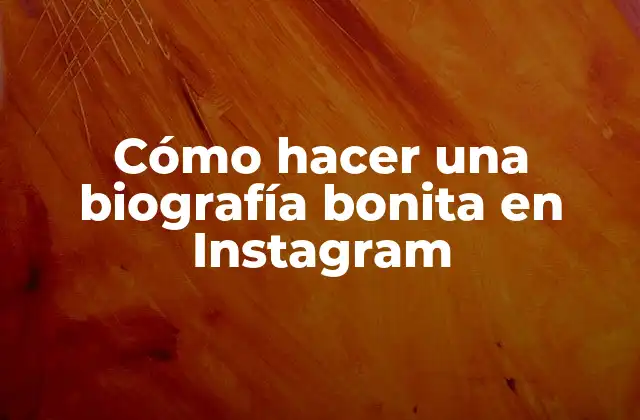 Cómo Hacer una Biografía Bonita en Instagram