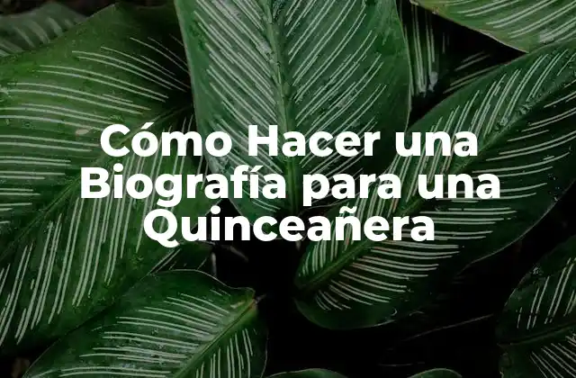 Cómo Hacer una Biografía para una Quinceañera