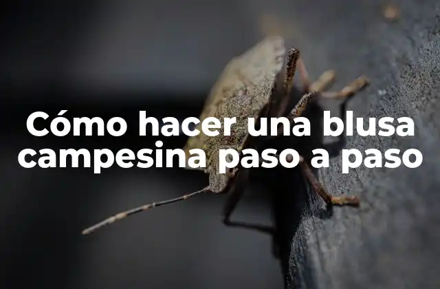 Cómo Hacer una Blusa Campesina Paso a Paso