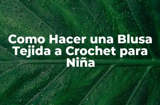 ¿Qué es una Blusa Tejida a Crochet para Niña y para qué Sirve?
