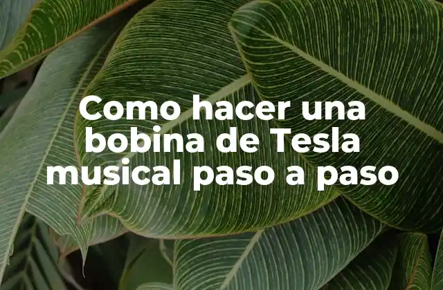 Como Hacer una Bobina de Tesla Musical Paso a Paso