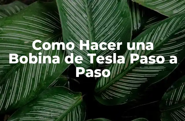 Como Hacer una Bobina de Tesla Paso a Paso 2 ¿Qué es una Bobina de Tesla?
