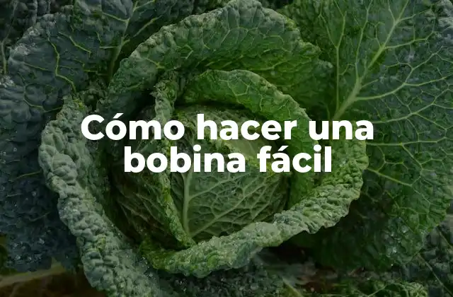 Cómo Hacer una Bobina Fácil