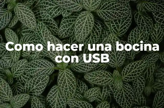 Como hacer una bocina con USB