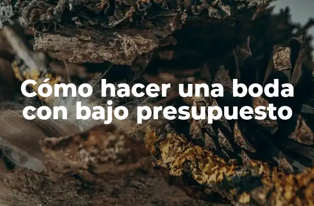 Cómo Hacer una Boda con bajo Presupuesto