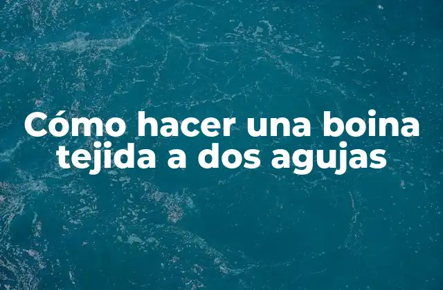 Cómo Hacer una Boina Tejida a Dos Agujas