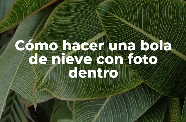 Cómo Hacer una Bola de Nieve con Foto Dentro