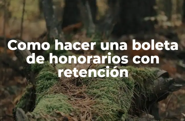 Como Hacer una Boleta de Honorarios con Retención