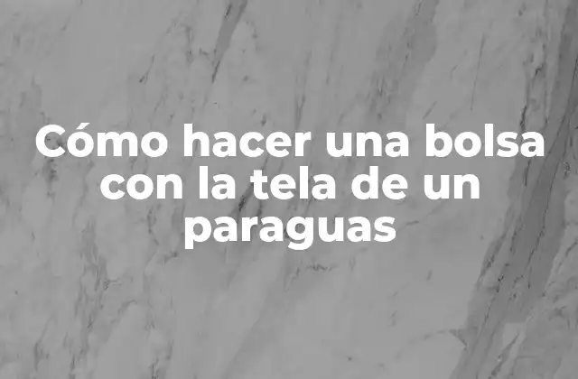 Cómo Hacer una Bolsa con la Tela de un Paraguas