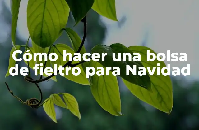 Cómo Hacer una Bolsa de Fieltro para Navidad