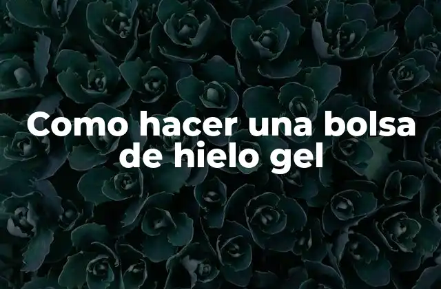 Como Hacer una Bolsa de Hielo Gel