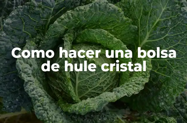 Como Hacer una Bolsa de Hule Cristal