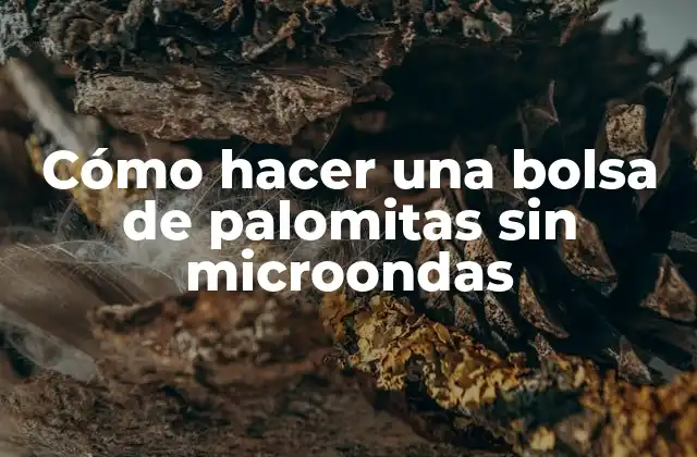 ¿Qué es una bolsa de palomitas sin microondas?
