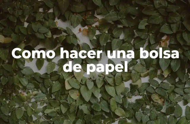 Como Hacer una Bolsa de Papel