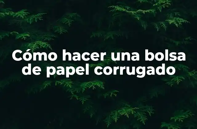 Cómo Hacer una Bolsa de Papel Corrugado