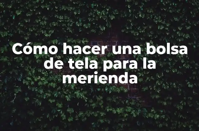 Cómo Hacer una Bolsa de Tela para la Merienda