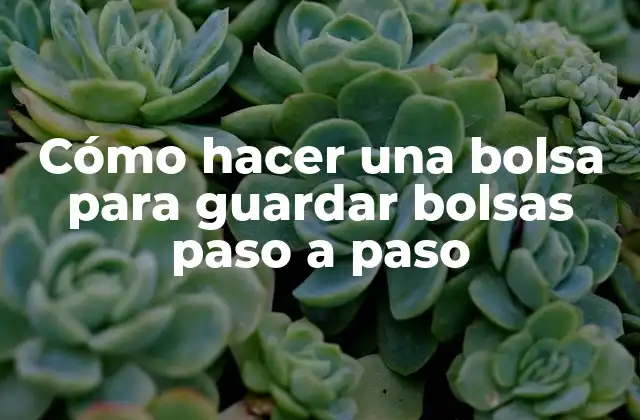 Cómo Hacer una Bolsa para Guardar Bolsas Paso a Paso