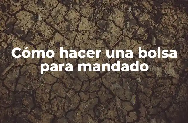 Cómo Hacer una Bolsa para Mandado