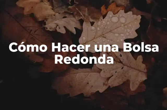 Cómo Hacer una Bolsa Redonda