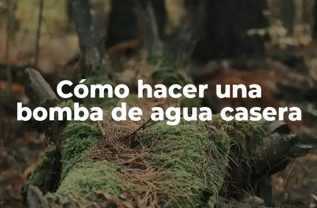 Cómo Hacer una Bomba de Agua Casera