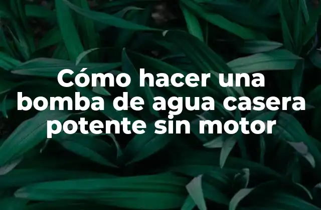 Cómo Hacer una Bomba de Agua Casera Potente sin Motor