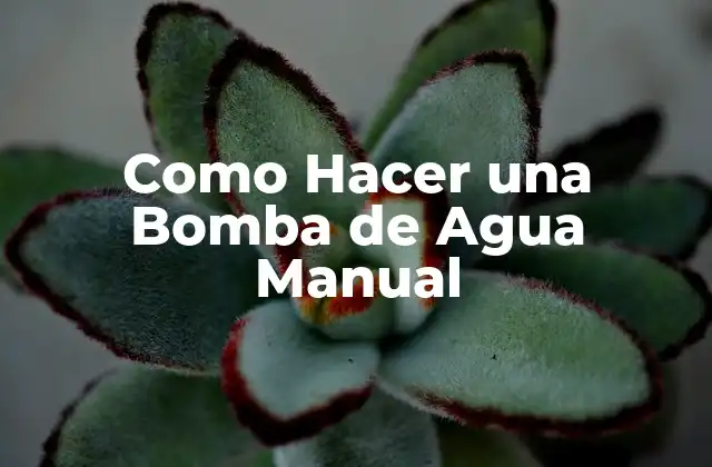 Como Hacer una Bomba de Agua Manual