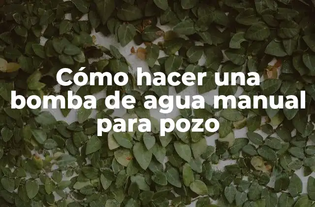 Cómo Hacer una Bomba de Agua Manual para Pozo