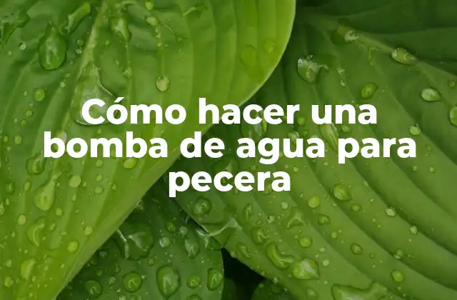 Cómo Hacer una Bomba de Agua para Pecera