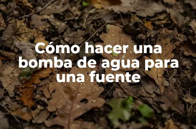 Cómo Hacer una Bomba de Agua para una Fuente