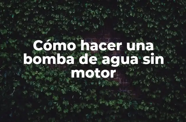 Cómo Hacer una Bomba de Agua sin Motor