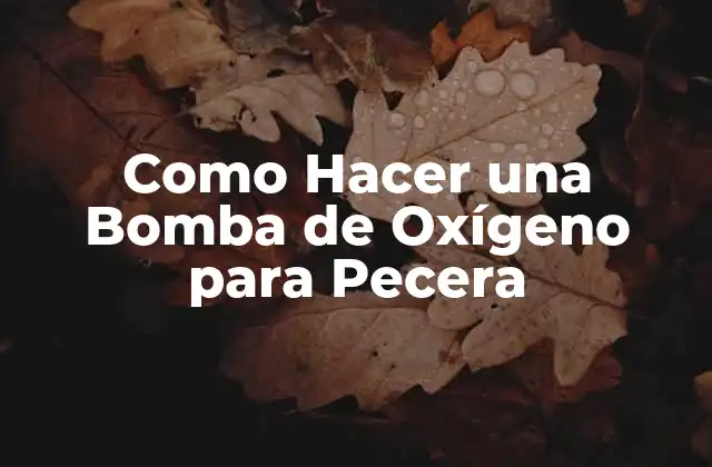 Como Hacer una Bomba de Oxígeno para Pecera
