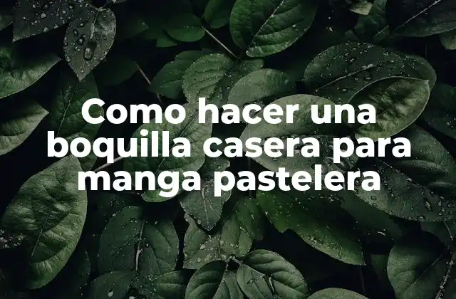 Como Hacer una Boquilla Casera para Manga Pastelera