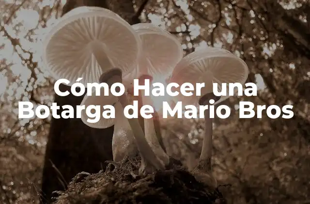 Cómo Hacer una Botarga de Mario Bros