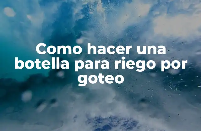 Como Hacer una Botella para Riego por Goteo