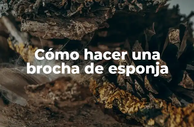 Cómo Hacer una Brocha de Esponja 2 ¿Qué es una brocha de esponja?