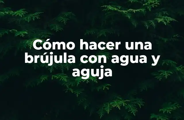 Cómo Hacer una Brújula con Agua y Aguja