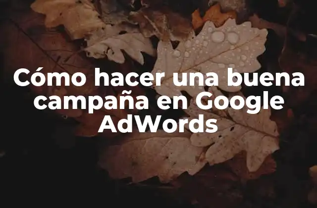 Cómo Hacer una Buena Campaña en Google Adwords