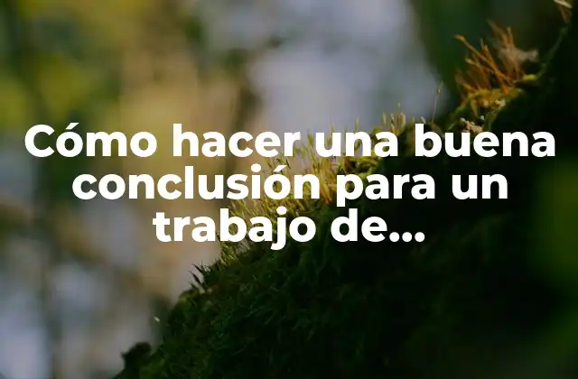 Cómo hacer una buena conclusión para un trabajo de investigación