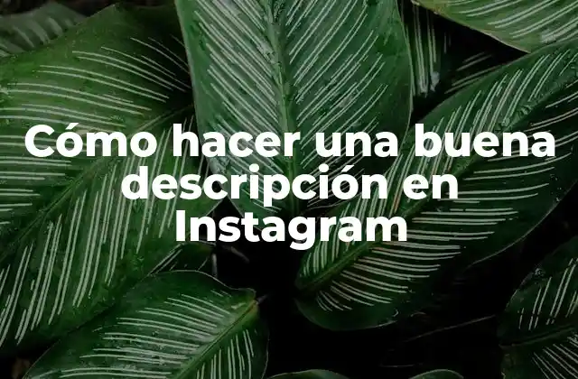 Cómo Hacer una Buena Descripción en Instagram