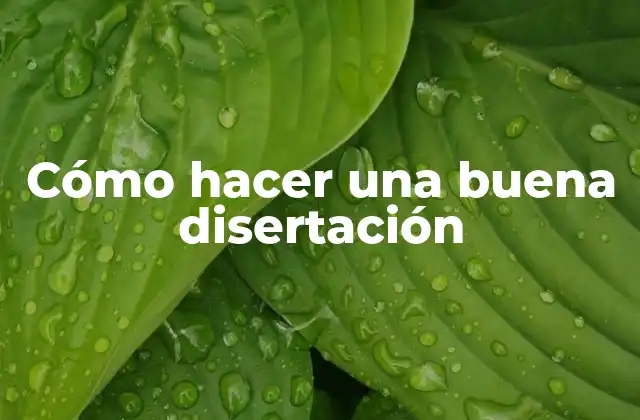 Cómo Hacer una Buena Disertación 2 ¿Qué es una disertación y para qué sirve?