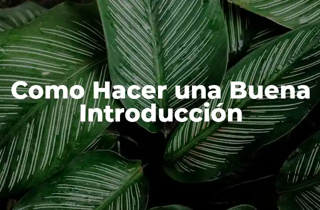 Qué es una Buena Introducción y por Qué es Importante