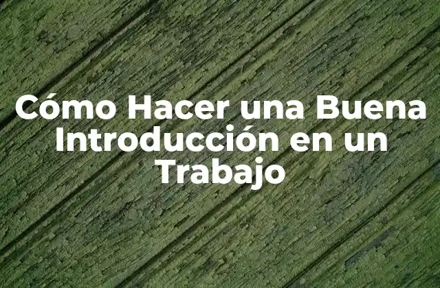 Cómo Hacer una Buena Introducción en un Trabajo
