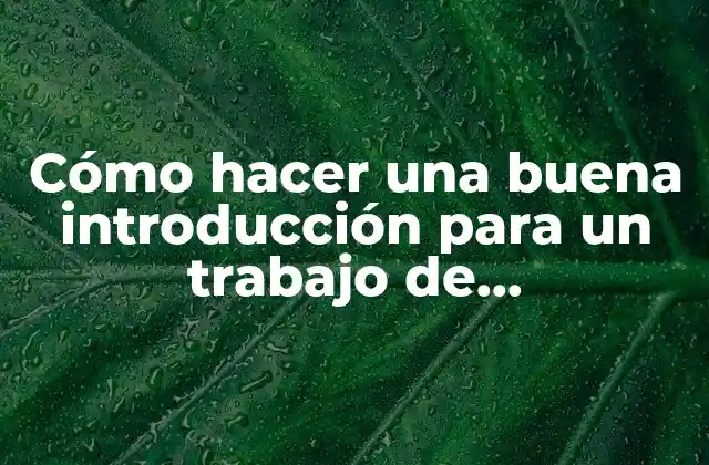 Cómo Hacer una Buena Introducción para un Trabajo de Investigación