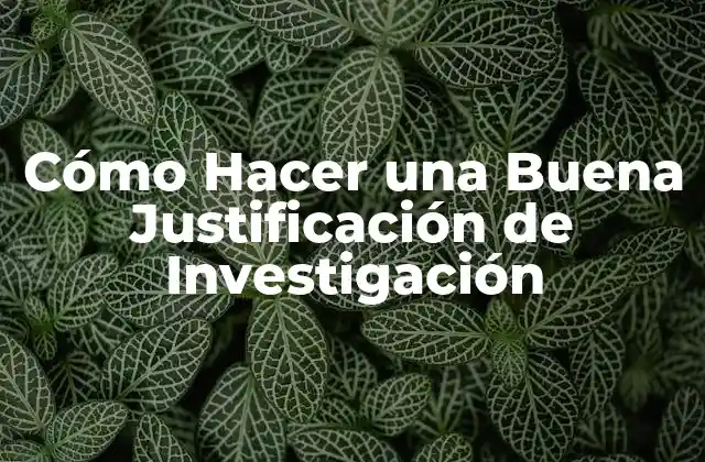 Cómo Hacer una Buena Justificación de Investigación