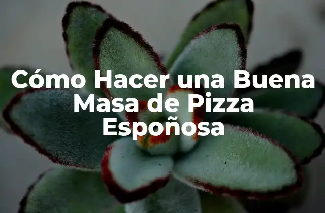 Cómo Hacer una Buena Masa de Pizza Espoñosa
